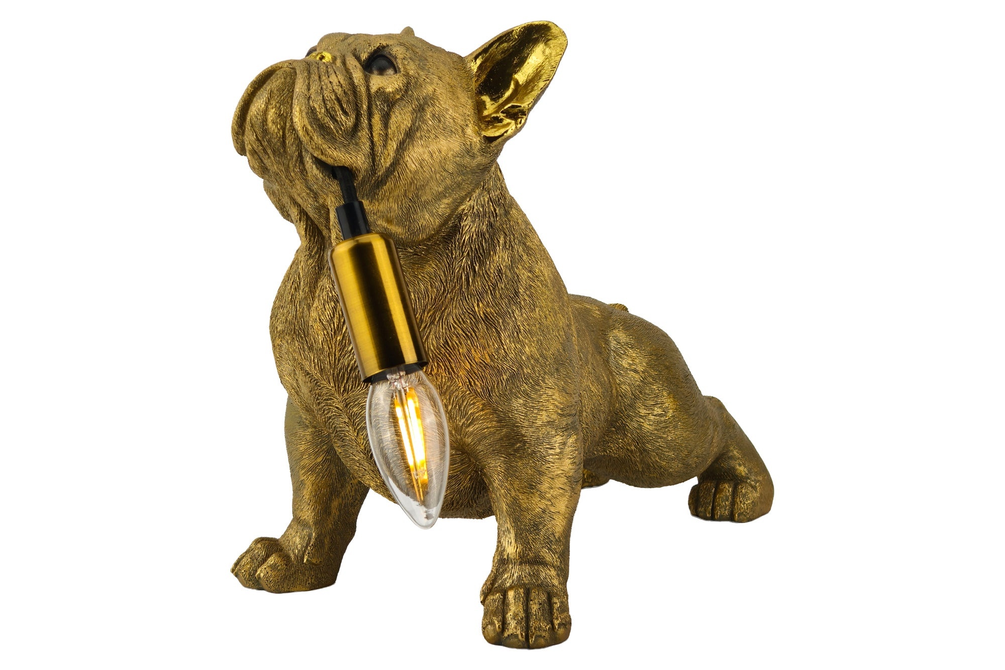 Tafellamp BULLDOG 35 cm gouden hondensculptuur - 48006