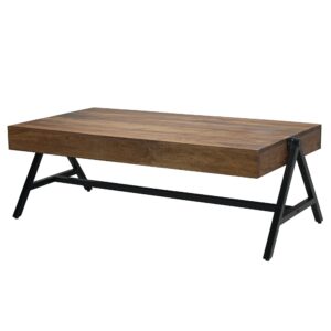 Salontafel sheeshamhout 120 cm rechthoek - WL7.414