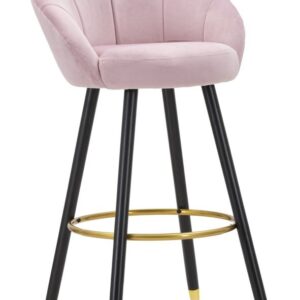 BARKRUK PRAAG ROSA CM 55X56X104 - 142476000R