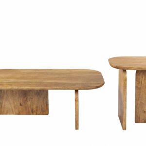 Salontafelset GATSBY 100cm/45cm set van 2 mangohout bruin - 47891