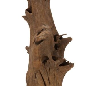 AKAR SCULPTUUR TEAK CM 23X27X64 - 119600001