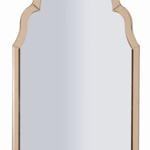 TANGER WANDSPIEGEL ROZE CM 47X1X80 ( BINNENSPIEGEL AFMETING 41X74) - 06614700R3