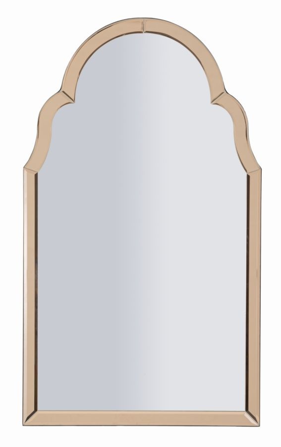 TANGER WANDSPIEGEL ROZE CM 47X1X80 ( BINNENSPIEGEL AFMETING 41X74) - 06614700R3